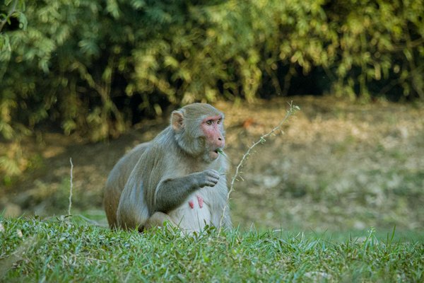 Vacances bord mer en bretagne : découvrez nos campings !